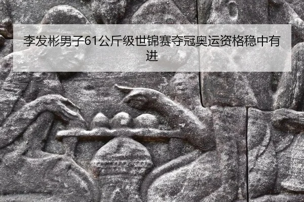 li-fa-bin-nan-zi-gong-jin-ji-shi-jin-sai-duo-guan-ao-yun-zi-ge-wen-zhong-you-jin-3-452.jpg