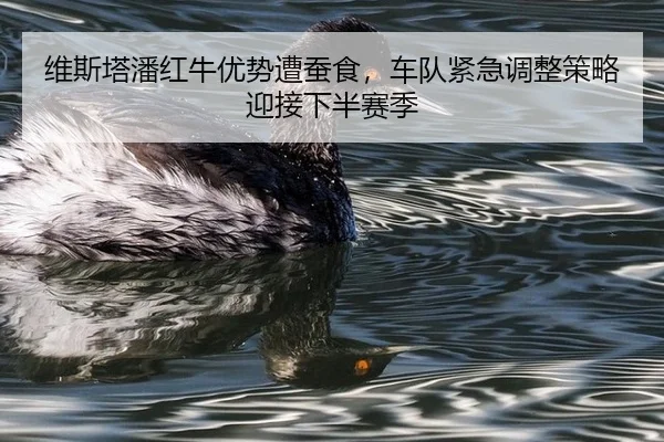 维斯塔潘红牛优势遭蚕食，车队紧急调整策略迎接下半赛季